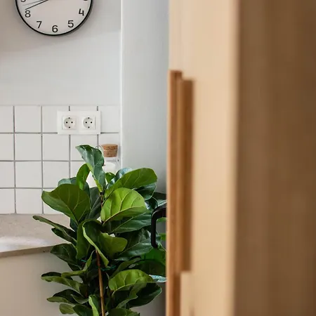 Aris Apartment *